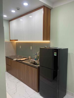 Cần cho thuê căn hộ phúc đạt 2pn full nội thất 6tr