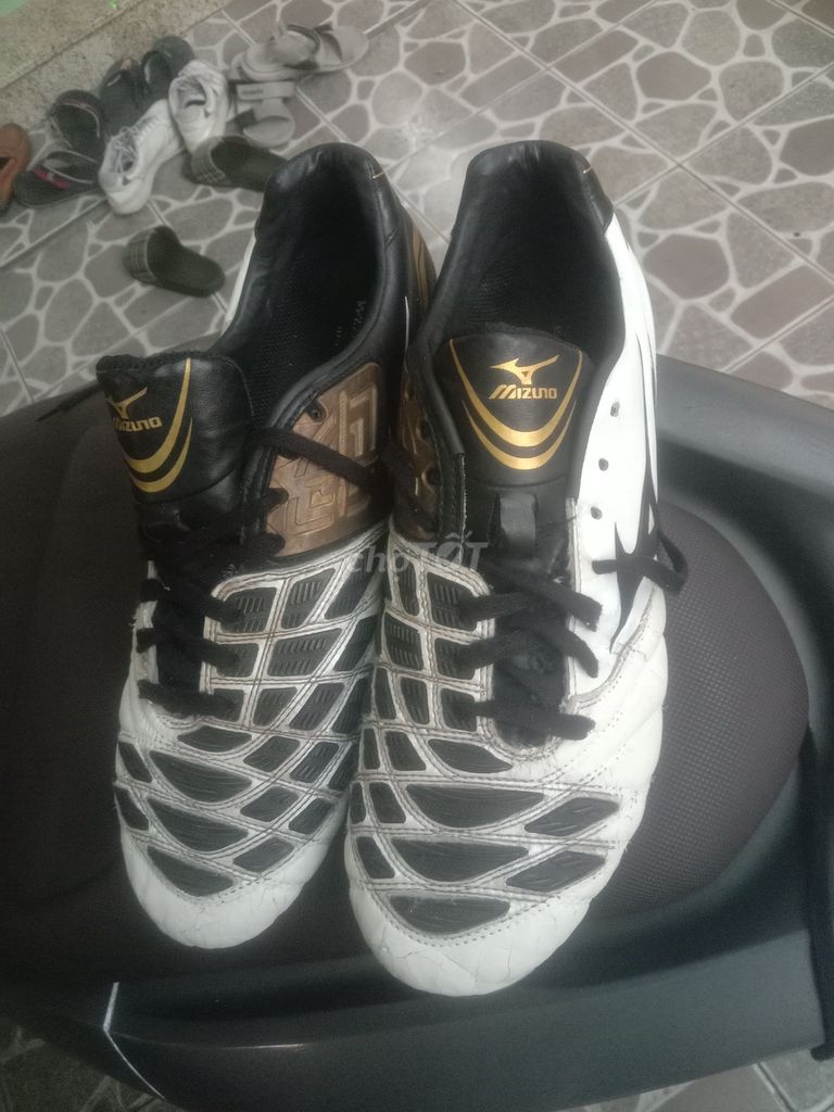 Giày đá bóng Mizuno Nam Da size 44.5. Mua bán Đồ thể thao, Dã ngoại tại Huyện Hóc Môn Tp Hồ Chí Minh được đăng bởi Nguyễn Minh Hoàng hình 1