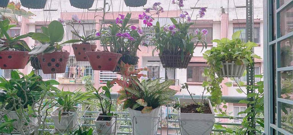 Q. TÂN PHÚ, SỔ LÂU DÀI, LẦU 2,  CC Sơn Kỳ ,DT 58m 2PN 1WC giá 2Ty650T