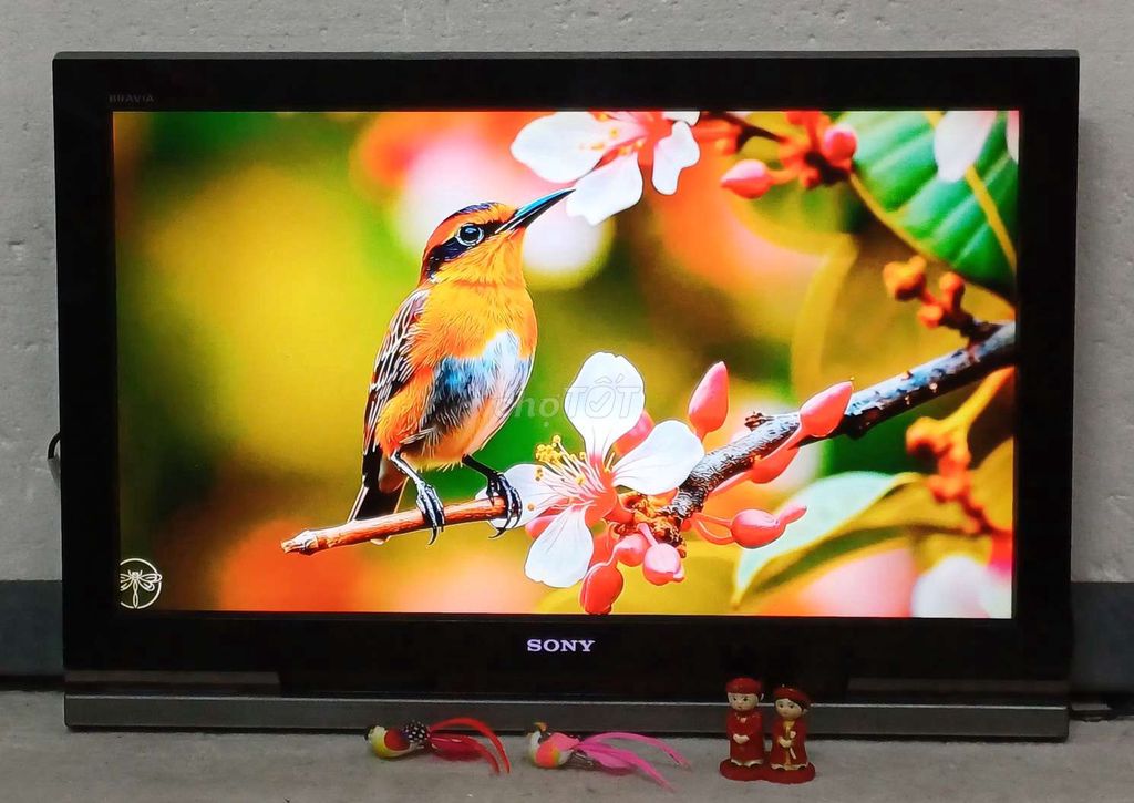 Tivi Sony 32 inch zin đẹp có tìm giọng nói. Mua bán Tivi, Âm thanh tại Quận Ninh Kiều Cần Thơ được đăng bởi Luật Nguyễn hình 1