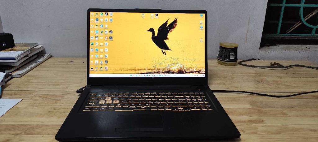 Asus Tuf A17 Gaming Ryzen 7 16GB/477GB. Mua bán Laptop tại Quận Hai Bà Trưng Hà Nội được đăng bởi Huyy Namm hình 1