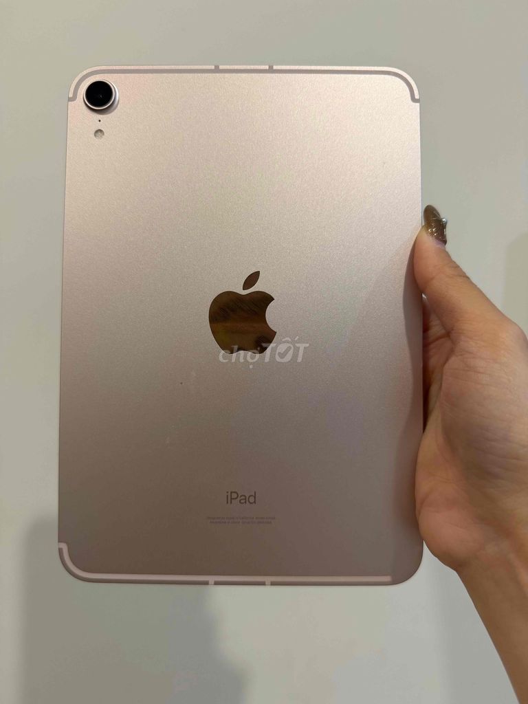 Apple iPad mini 6 256GB Hồng phấn 98% pin. Mua bán Máy tính bảng tại Huyện Thanh Trì Hà Nội được đăng bởi Linh Nhất hình 1