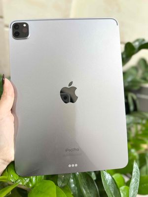iPad Pro 11 inch M2 256GB Wifi Za Gray. Mua bán Máy tính bảng tại Quận Tân Bình Tp Hồ Chí Minh được đăng bởi Tuấn Macbook