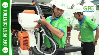 TUYỀN NHÂN VIÊN KỸ THUẬT KIỂM SOÁT CÔN TRÙNG