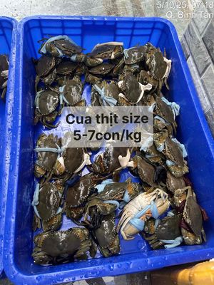 cua cà mau bao ăn freeship Bình Tân. Mua bán Đồ ăn, thực phẩm và các loại khác tại Quận Bình Tân Tp Hồ Chí Minh được đăng bởi ĐẶC SẢN CÀ MAU 