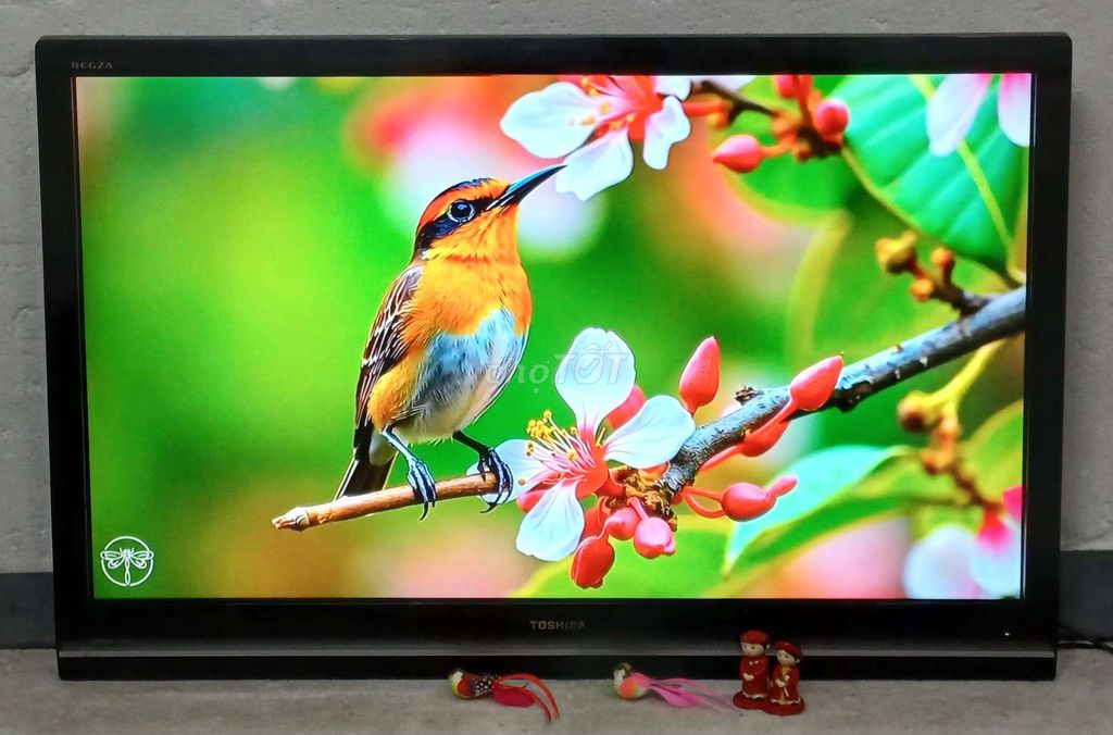 Tivi Toshiba 42 inch zin đẹp có tìm giọng nói. Mua bán Tivi, Âm thanh tại Quận Ninh Kiều Cần Thơ được đăng bởi Luật Nguyễn hình 1