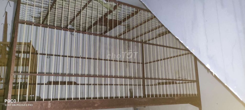 Lồng chim gỗ kim loại. Mua bán Phụ kiện, Thức ăn, Dịch vụ tại Quận Thanh Khê Đà Nẵng được đăng bởi Huy Khoa hình 1