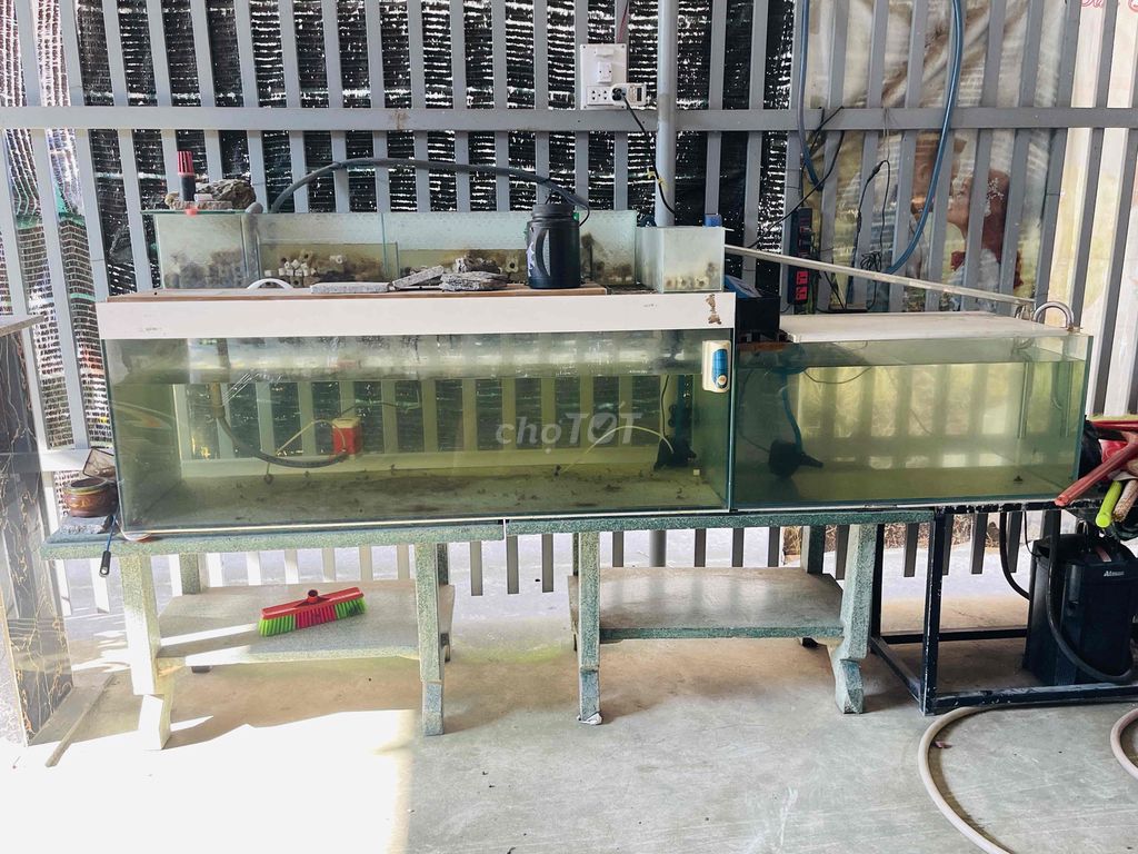 Hồ cá 90x45x50 cm. Mua bán Phụ kiện, Thức ăn, Dịch vụ tại Huyện Trảng Bom Đồng Nai được đăng bởi Long Xuân hình 1