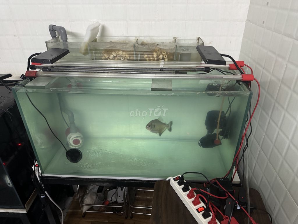 Bể cá cảnh kính 10 ly 90x40x50cm. Mua bán Phụ kiện, Thức ăn, Dịch vụ tại Quận 8 Tp Hồ Chí Minh được đăng bởi anhquaysaigon hình 1