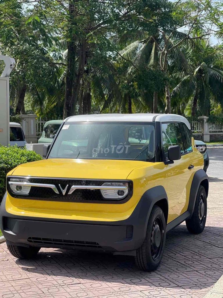 Ảnh số 5
