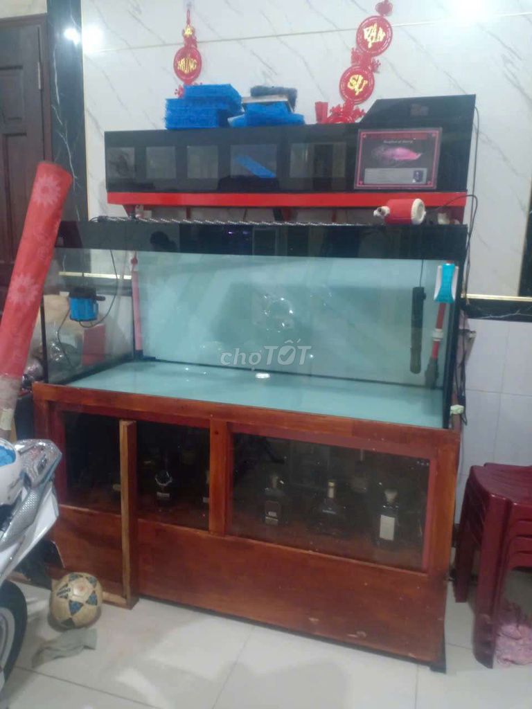 Bể cá cảnh Kính Gỗ Nâu Đen Trang Trí. Mua bán Cây cảnh, đồ trang trí tại Quận Bình Tân Tp Hồ Chí Minh được đăng bởi giau hình 1