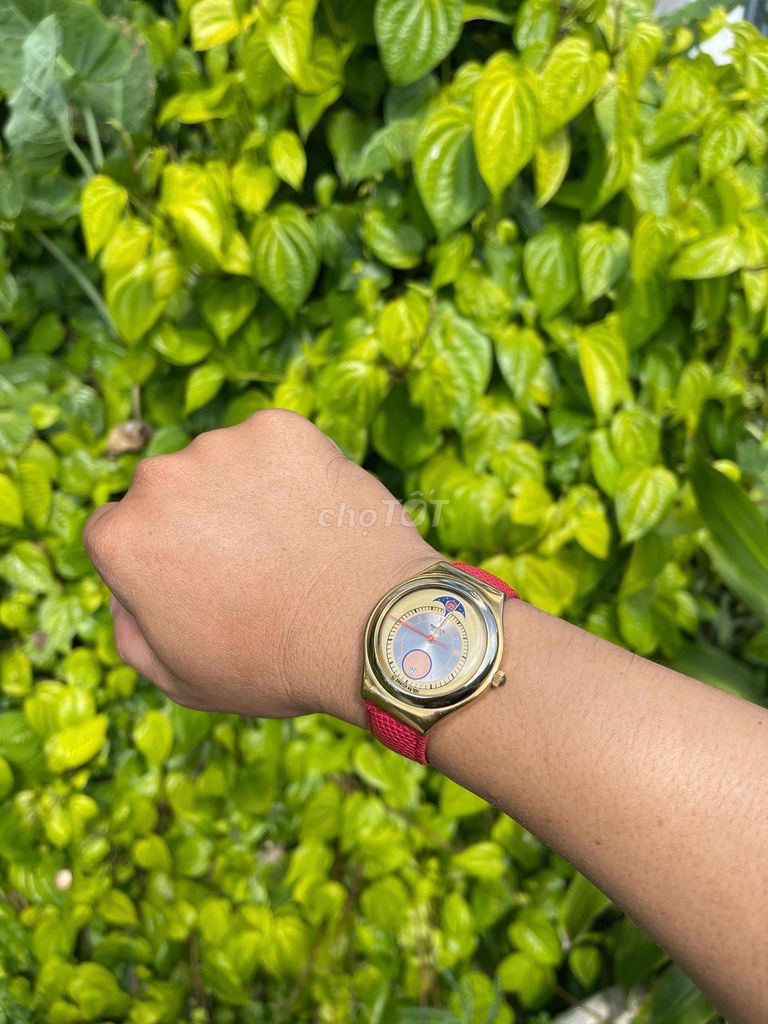 Swatch Đồng hồ đeo tay Thụy Sĩ Vàng. Mua bán Đồng hồ tại Huyện Cầu Kè Trà Vinh được đăng bởi Đức Trí Tâm hình 1