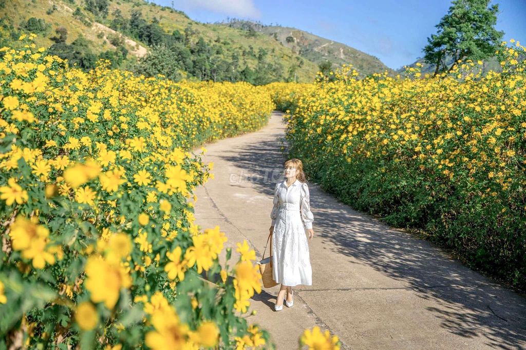 Tour Tây Nguyên " Lễ hội hoa dã quỳ"