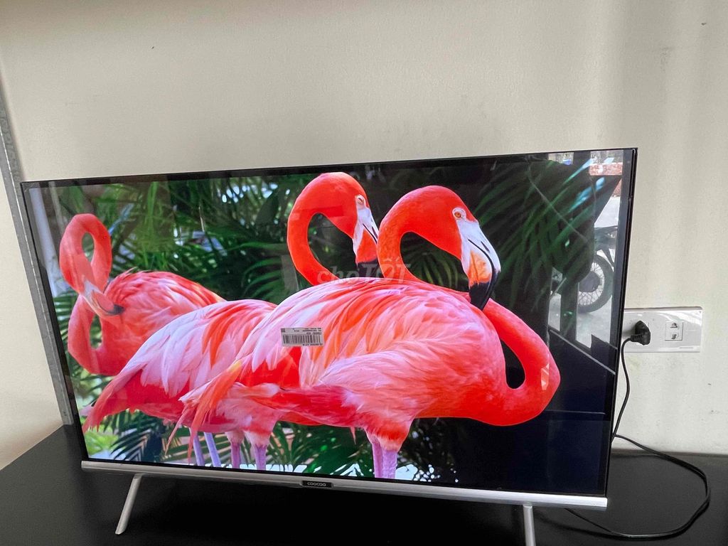 Tivi Coocaa 32 inch Smart TV. Mua bán Tivi, Âm thanh tại Huyện Hưng Hà Thái Bình được đăng bởi Điện Tử Hoàng Quang hình 1