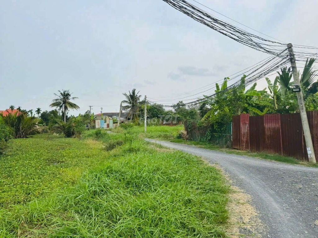 Hàng F0, chỉ 459tr sở hữu 150m2 đất thổ đường Nguyễn Thị Tấm. Mua bán đất tại Huyện Tân Trụ Long An được đăng bởi Thanh Hùng hình 2
