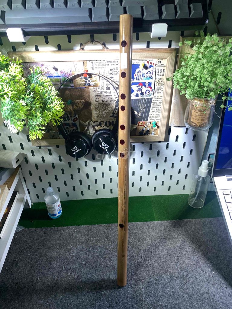 Sáo trúc Trúc nứa tone C Mới 99%. Mua bán Nhạc cụ tại Thành phố Thủ Đức Tp Hồ Chí Minh được đăng bởi Hoàngg Nguyễn hình 1