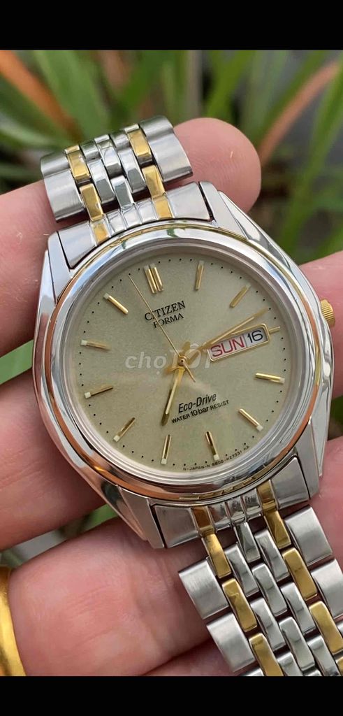 Đồng hồ vintage si-te-den eco-drive