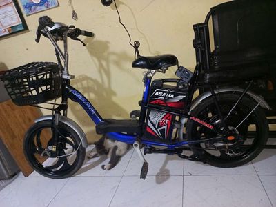 Nhà cần thanh lý xe đạp điện chính hãng. Mua bán Xe điện tại Quận Gò Vấp Tp Hồ Chí Minh được đăng bởi Mèo con