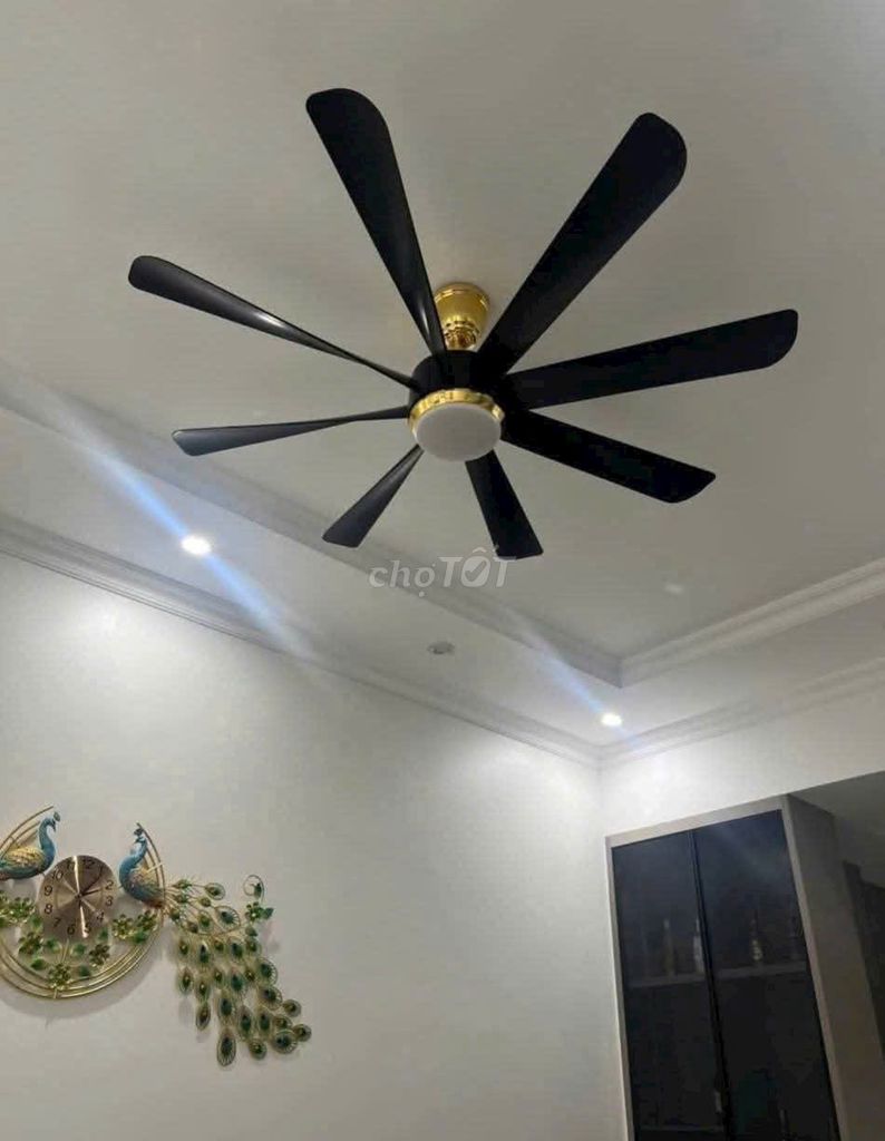 Quạt trần đèn 8 cánh DC. Mua bán Quạt tại Quận Hà Đông Hà Nội được đăng bởi TT Led hình 1