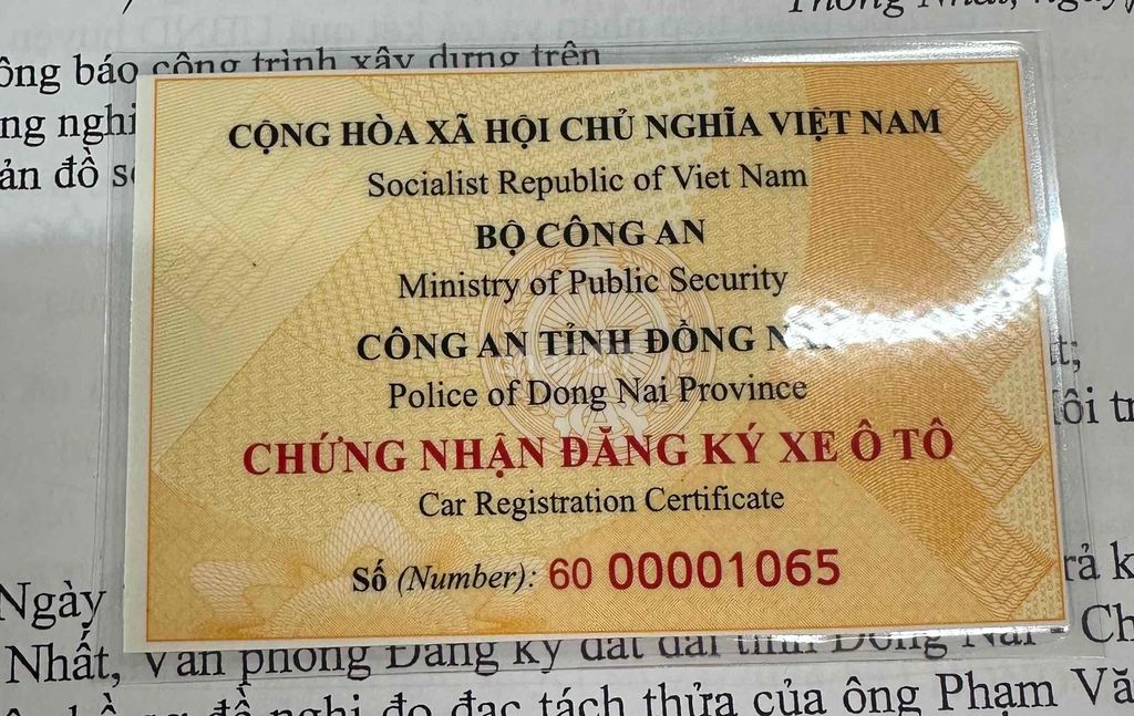 Ảnh số 8