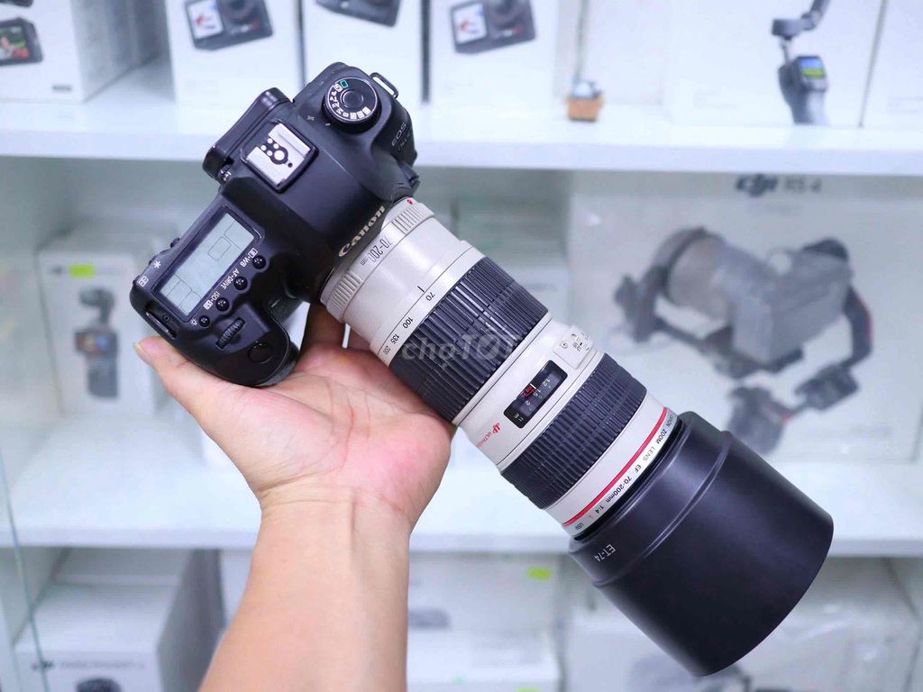 Máy ảnh Canon 5D Mark II +Lens EF 70-200F4 non IS. Mua bán Máy ảnh, Máy quay tại Thành phố Thủ Dầu Một Bình Dương được đăng bởi Chinh Lee hình 1