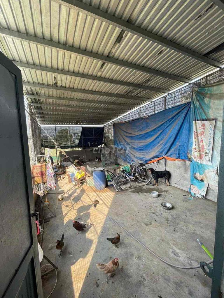 bán nhà long an đức hoà 100m2 Áp Rừng Sền, X8 Mỹ Hạnh Bắc, Huyện Đức Hòa, Tỉnh Long An,, Ấp Rừng Sến, Xã Mỹ Hạnh Bắc, Huyện Đức Hòa, Long An Huyện Đức Hòa Long An