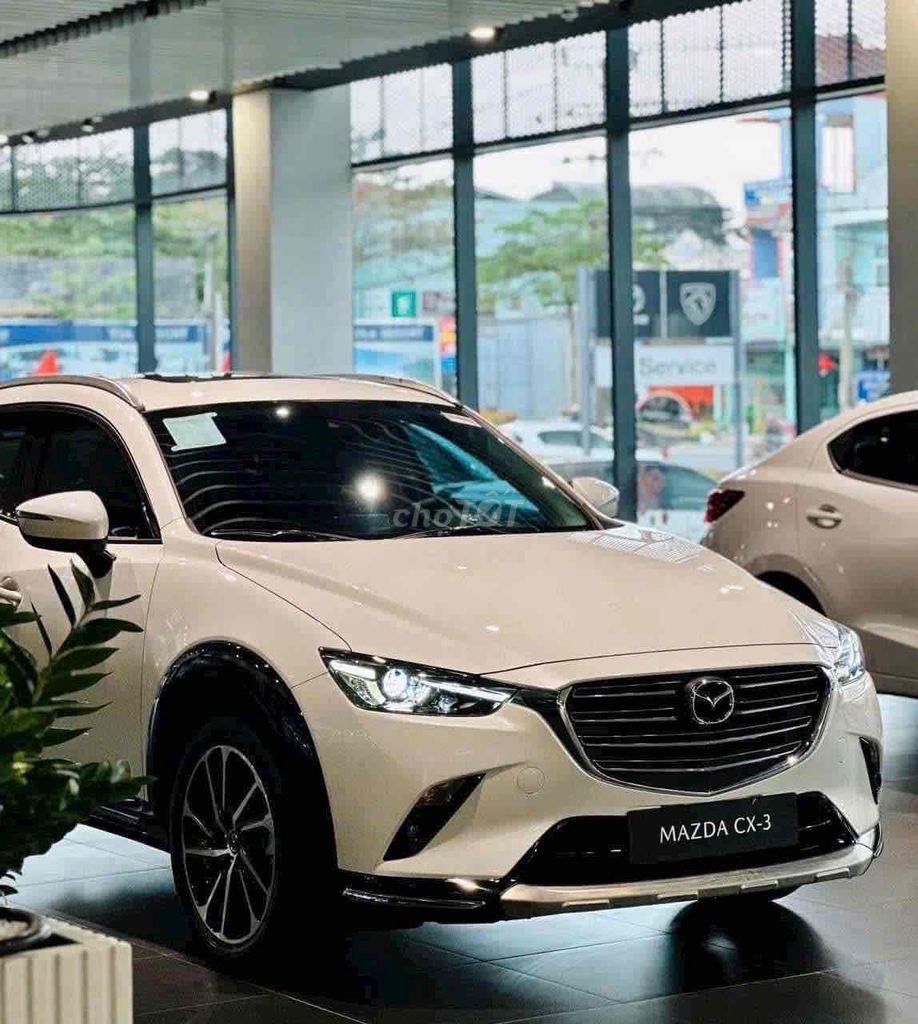 Ảnh số 6