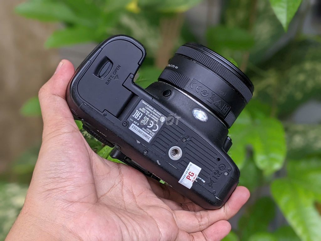 (Máy Ảnh KTS) Canon 6D kèm lens 50mm STM. Mua bán Máy ảnh, Máy quay tại Quận 6 Tp Hồ Chí Minh được đăng bởi may anh KTS hình 4