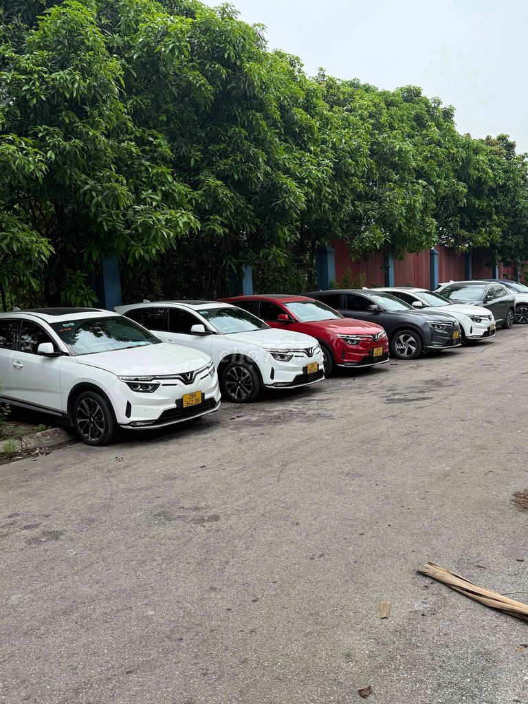 Ảnh số 2