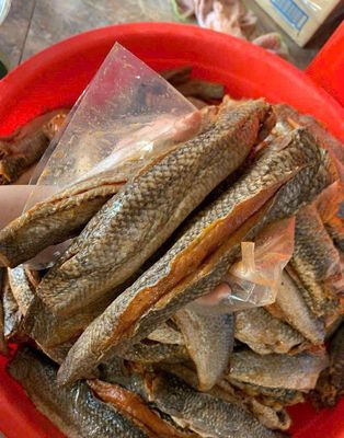 ĐẶC SẢN MẮM CÁ LÓC, ĂN LÀ GHIỀN, NGHE MÙI LÀ NHỚ. Mua bán Đồ ăn, thực phẩm và các loại khác tại Huyện Hải Hậu Nam Định được đăng bởi Phương Thảo Phạm thị