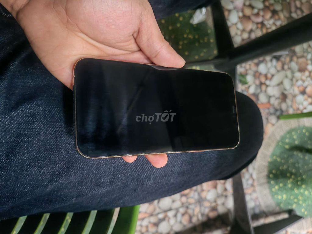 IPhone 12 Promax 128GB gold quốc tế. Mua bán Điện thoại tại Quận Bình Tân Tp Hồ Chí Minh được đăng bởi V I N H hình 1