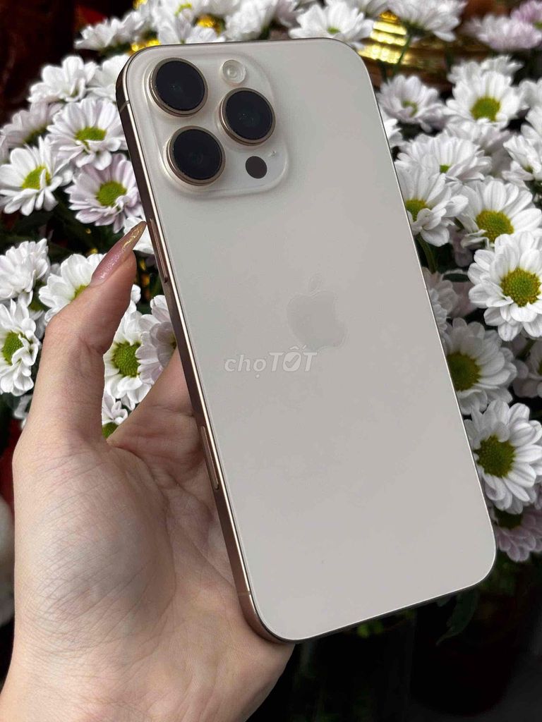 16 Pro Max 256GB Sa Mạc Qte Mỹ Pin 92 Imei 9282828. Mua bán Điện thoại tại Quận Ninh Kiều Cần Thơ được đăng bởi Quý Mobile Cần thơ hình 1