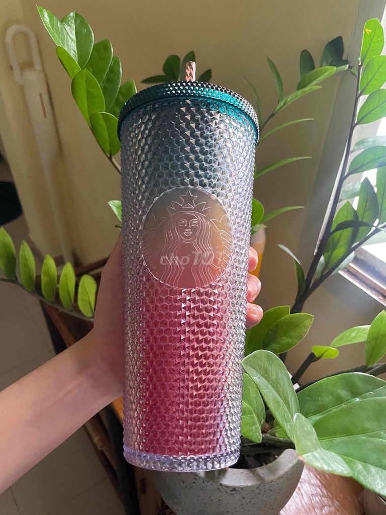 Ly giữ nhiệt Starbucks 710ml Đa sắc. Mua bán Dụng cụ nhà bếp tại Quận Gò Vấp Tp Hồ Chí Minh được đăng bởi Lý My hình 1
