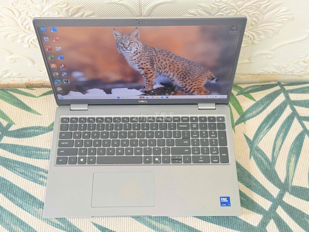 Dell Latitude 5550 Ultra 7 15.6 inch 16GB/256GB. Mua bán Laptop tại Quận 3 Tp Hồ Chí Minh được đăng bởi Laptop macbook sumi hình 1