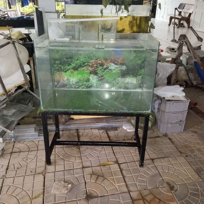 Cần bán hồ 80 và chân. Mua bán Phụ kiện, Thức ăn, Dịch vụ tại Quận Cái Răng Cần Thơ được đăng bởi Trần Huỳnh Phong