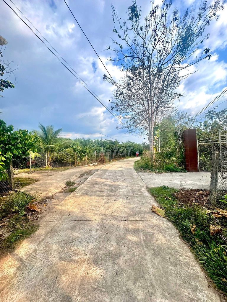 📢 BÁN GẤP 4600M² TẠI ĐỊNH QUÁN – 101M MẶT TIỀN – GIÁ CHỈ 2 TỶ TL 🏡. Mua bán đất tại Huyện Định Quán Đồng Nai được đăng bởi Dân Thường Bán Đất hình 1