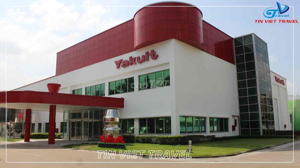 Tuyển nữ bán sữa yakult