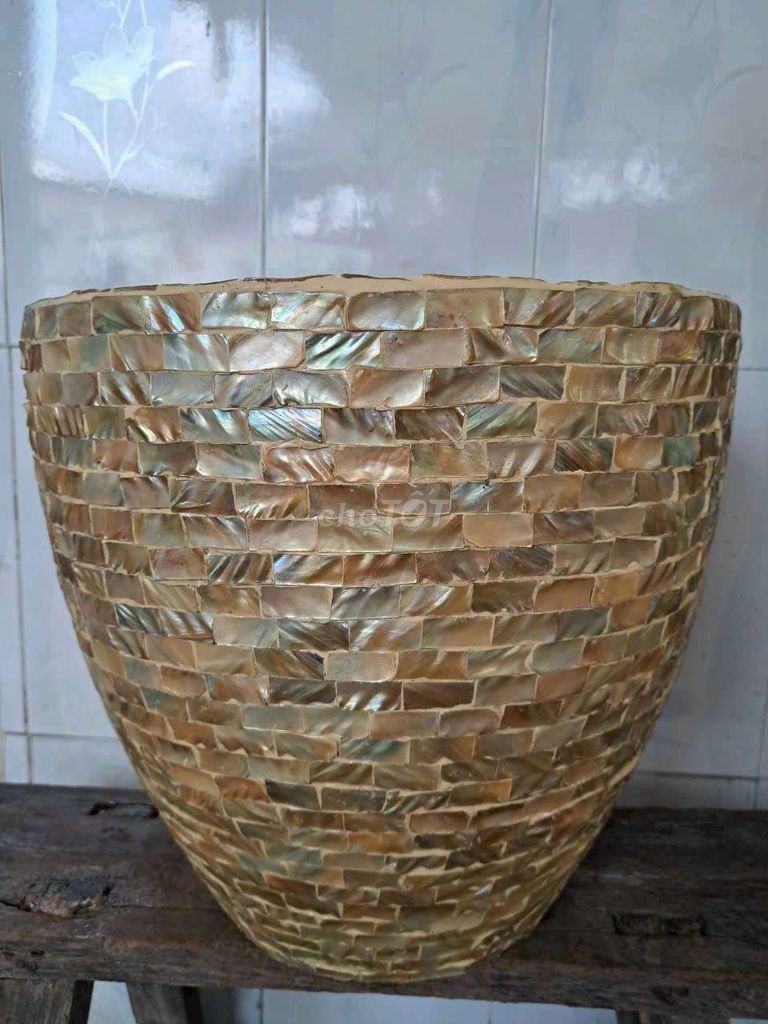 chậu copusit cẩn ốc khá to...cao 42cm