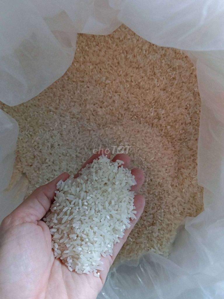 Gạo Quê nhà trồng mềm , dẻo vừa, ngon cơm 10kg. Mua bán Đồ ăn, thực phẩm và các loại khác tại Quận Cẩm Lệ Đà Nẵng được đăng bởi Ny  hình 1