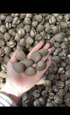 cua sò mấy anh chị ơi. Mua bán Đồ ăn, thực phẩm và các loại khác tại Quận 12 Tp Hồ Chí Minh được đăng bởi Tên chưa cung cấp