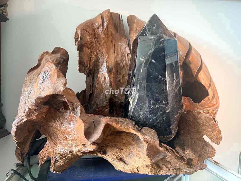 Vật phẩm trang trí Gỗ lũa Đá thạch anh. Mua bán Đồ sưu tầm, đồ cổ tại Huyện Bình Chánh Tp Hồ Chí Minh được đăng bởi Phan Phước Hiền hình 1
