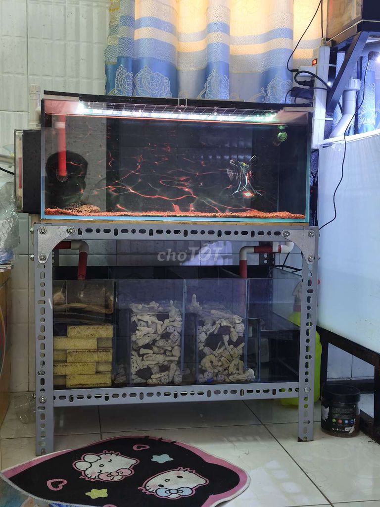 full bộ bồ cá cảnh 60 full 8li 3 mst. Mua bán Phụ kiện, Thức ăn, Dịch vụ tại Huyện Củ Chi Tp Hồ Chí Minh được đăng bởi Thành Phát hình 1