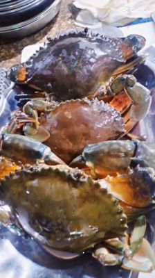 Cua biển tươi sống Việt Nam cỡ trung bình. Mua bán Đồ ăn, thực phẩm và các loại khác tại Thành phố Thủ Đức Tp Hồ Chí Minh được đăng bởi Minh Đạt