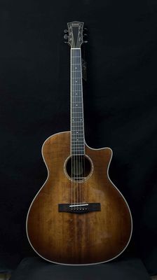 Guitar Sqoe S340