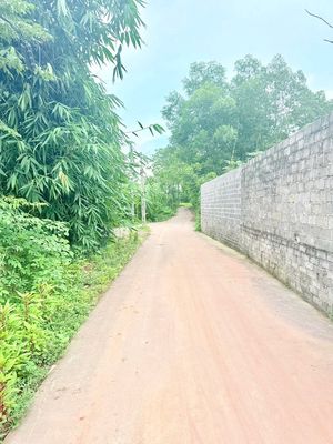 Bán đất 224.5m² gần Trường Cấp 1-2 Tân Thành 2, giá 9xx triệu