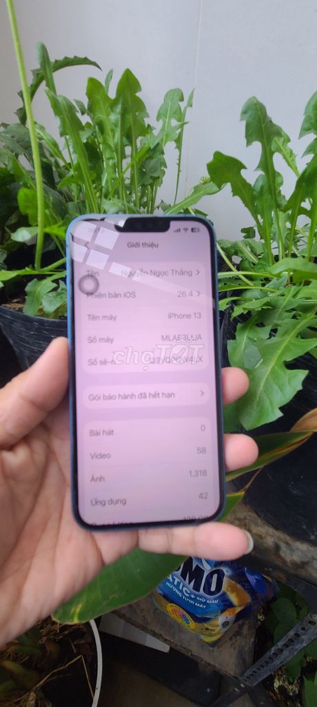iPhone 13 Xanh. Mua bán Điện thoại tại Huyện Hàm Thuận Bắc Bình Thuận được đăng bởi Thang Nguyen hình 1