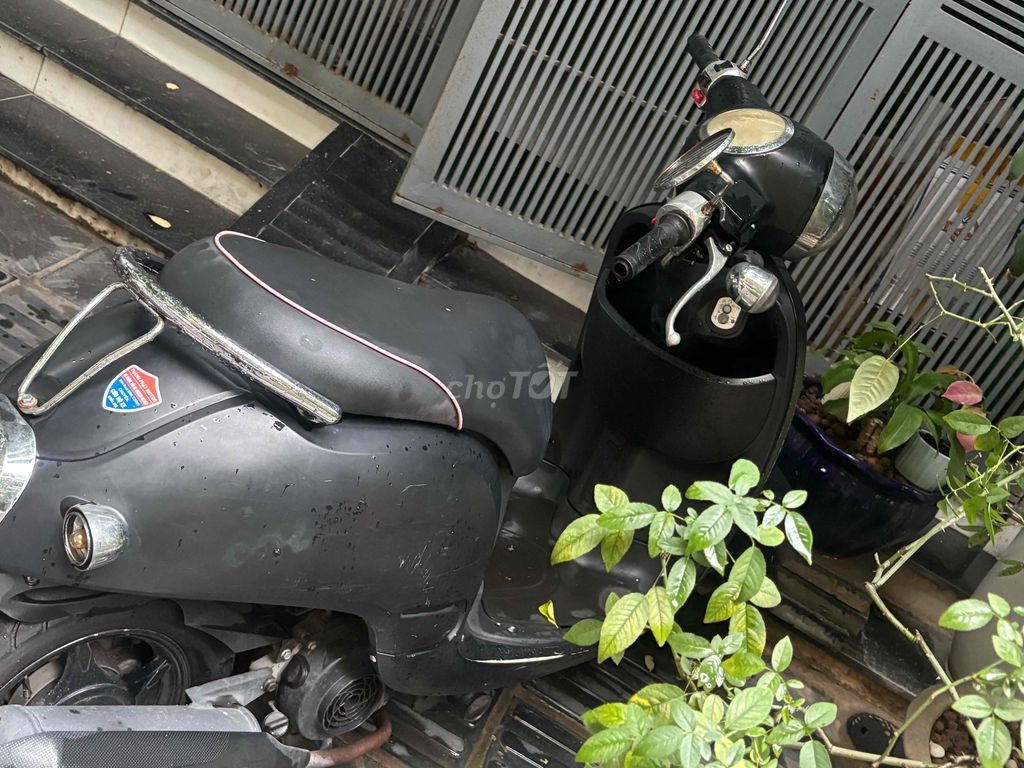 Xe ga giorno 50cc mua năm 2020. Mua bán Xe máy tại Quận Hai Bà Trưng Hà Nội được đăng bởi Sini Andy hình 5