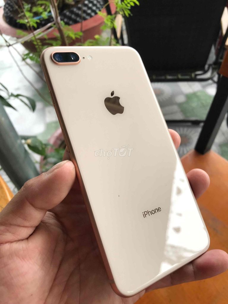 8plus 256 pin thay mới. Mua bán Điện thoại tại Huyện Đức Hòa Long An được đăng bởi NGUYỄN ĐẠT hình 1