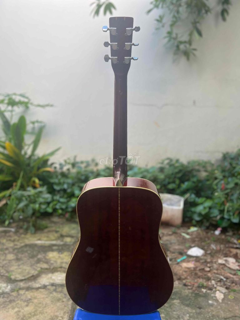 Guitar Morris W39M bản giới hạn