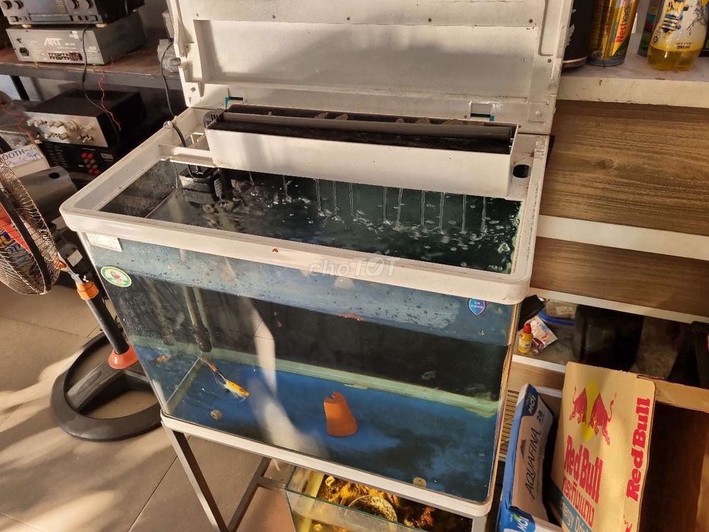 Bán hồ cá. Mua bán Thú cưng khác tại Quận Cẩm Lệ Đà Nẵng được đăng bởi APhương audio hình 1